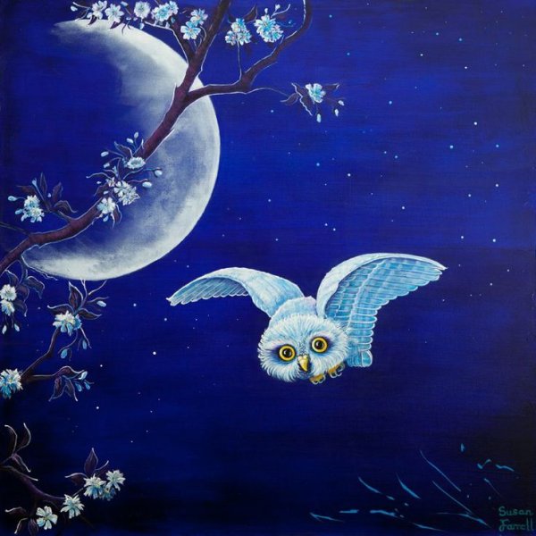 Совенок на Луне