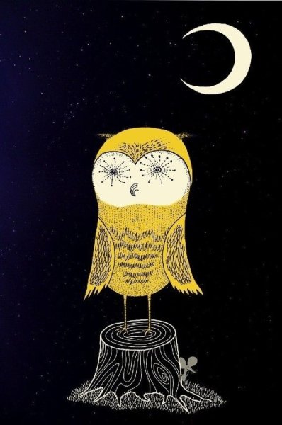 Ночь Луна Сова