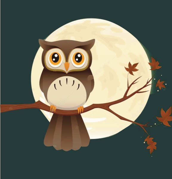 Сова на ветке ночью