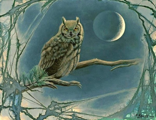 Спокойной ночи Сова