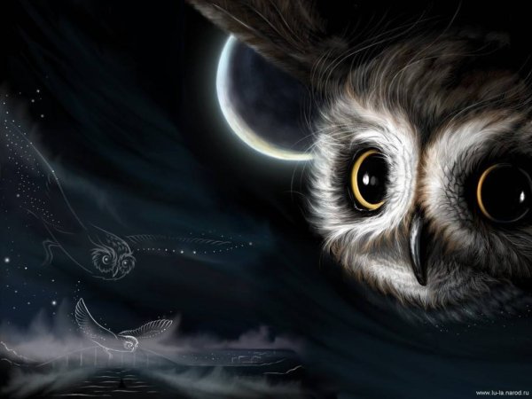 Стрикс Струма