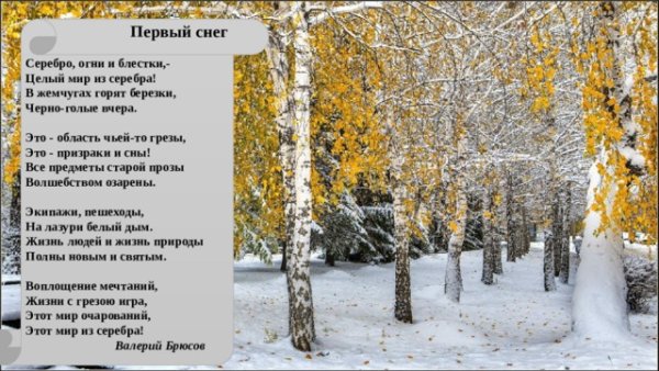 Первый снег Брюсов