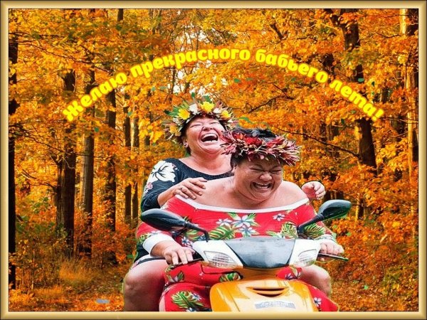 Доброй осени бабьего лета