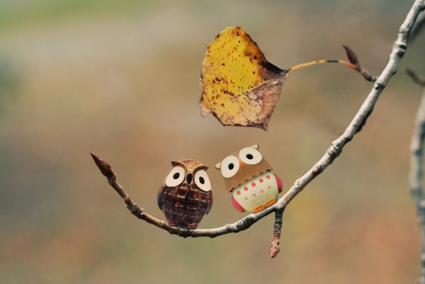 Осеннее настроение юмор