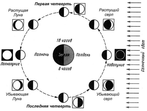Фазы Луны новолуние первая четверть полнолуние последняя четверть