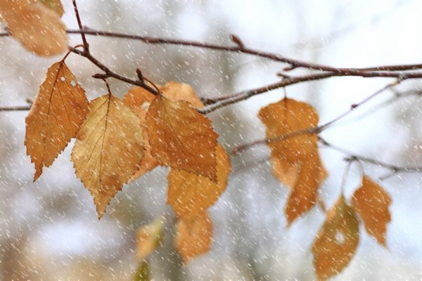 Осень небольшой снег