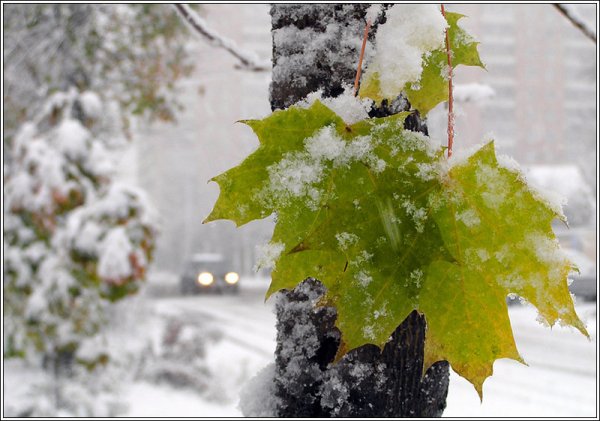 Тающий снег осенью