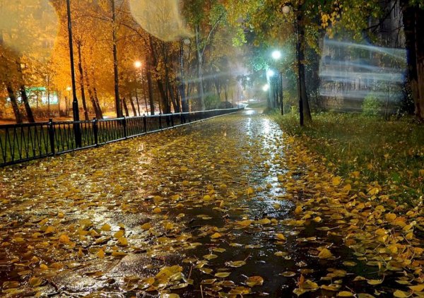 Осень дождь