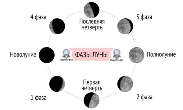 Фазы Луны схема фаз