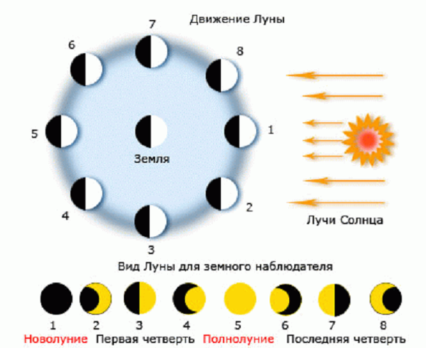 Фазы Луны схема фаз