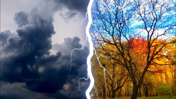 Осенняя гроза вертикальное