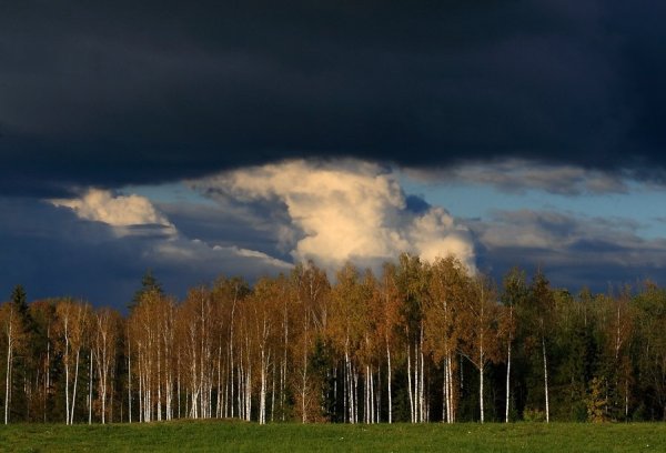 Осень гроза