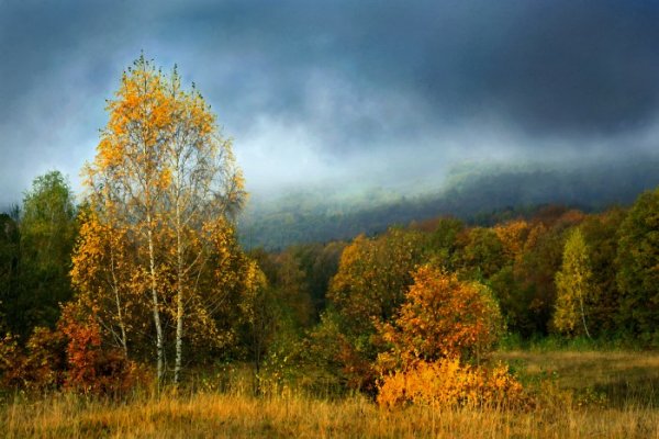 Осенний лес в грозу