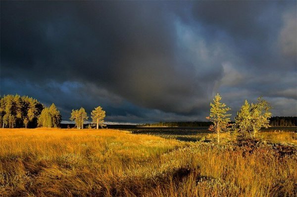 Природа перед дождем