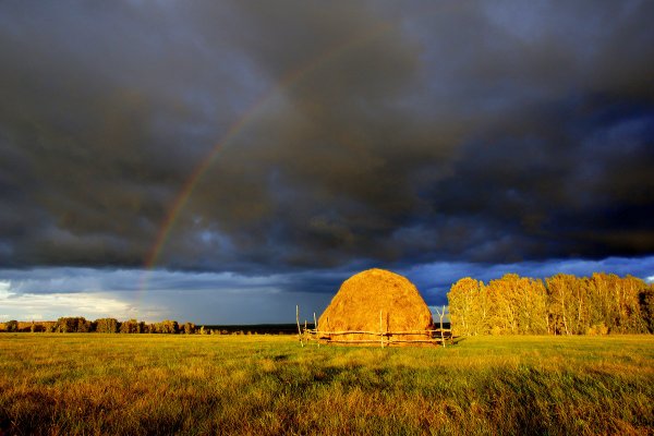 Осенняя гроза