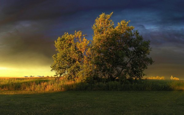 Природа перед грозой