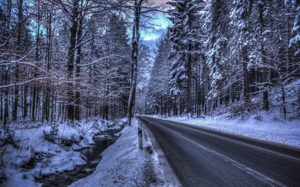 Дорога в лесу