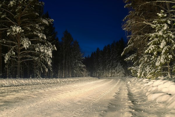 Зимняя дорога в лесу