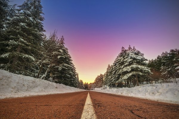 Зимний лес с дорогой