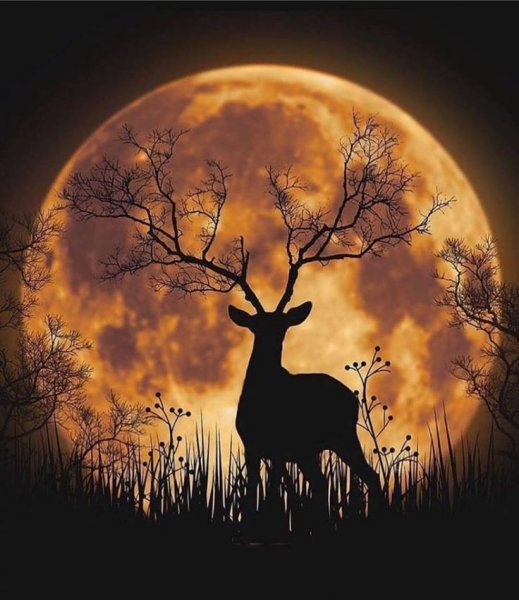 Ночной пейзаж с оленем