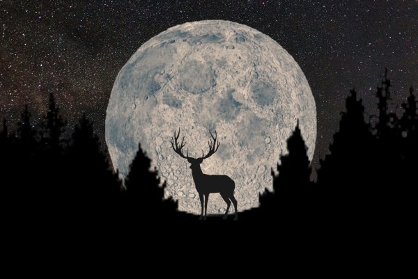 Лунный олень