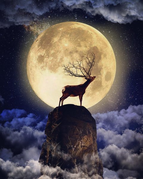 Оленья Луна