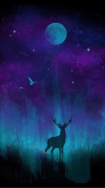 Олень ночью