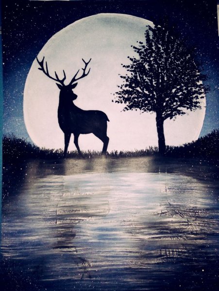 Олень ночью
