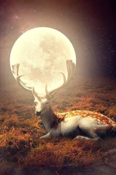 Лунный олень
