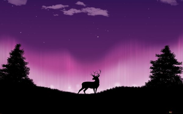 Олень в лесу Минимализм