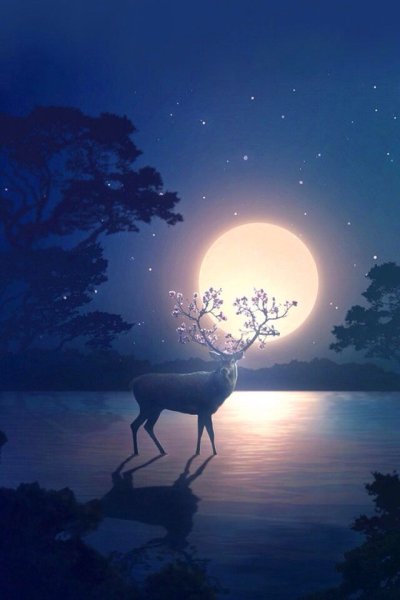 Олень и Луна