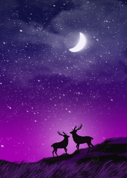 Олень на фоне ночного неба