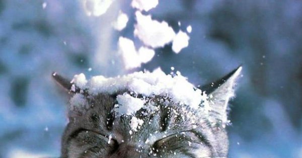 Снег падает на голову