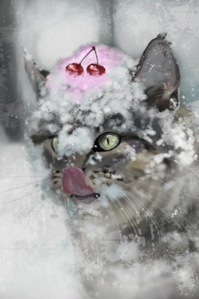 Кот под Снегопадом