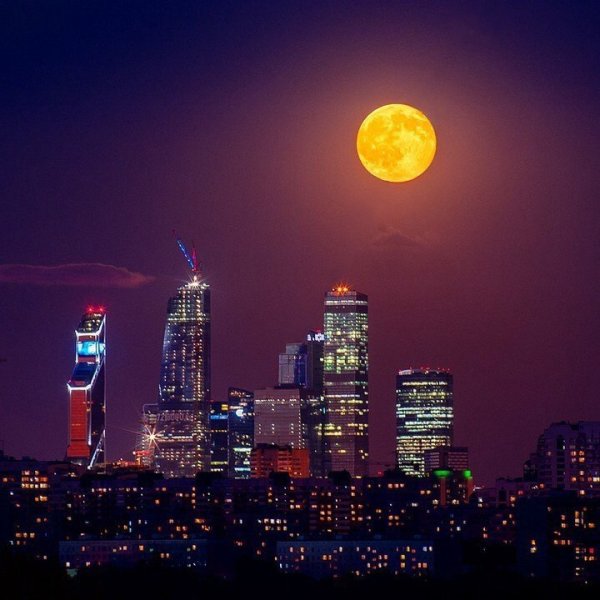 Лунная ночь в городе