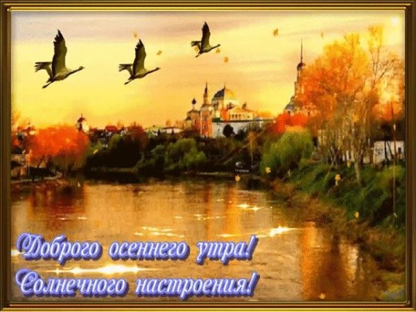 Осеннее утро четверга