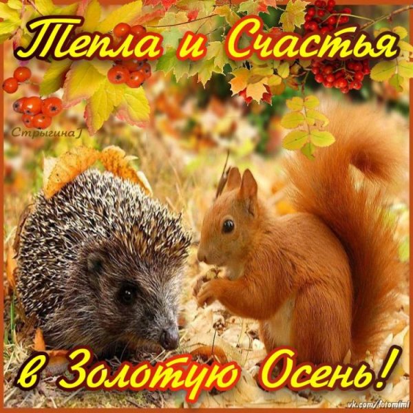 Открытки осень