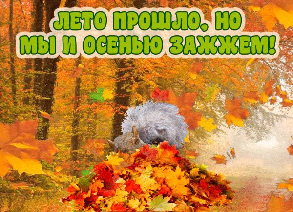 Фиг с ним с летом мы и осенью