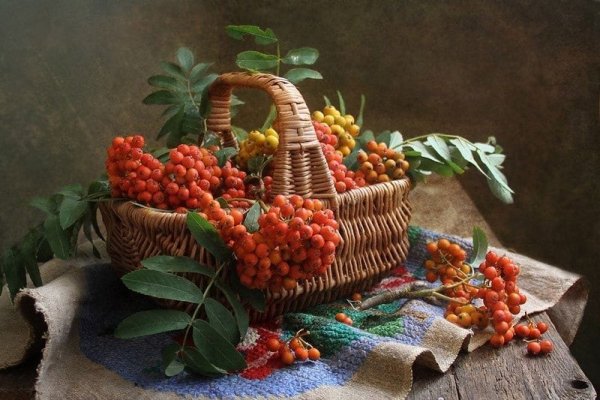 Натюрморт с рябиной