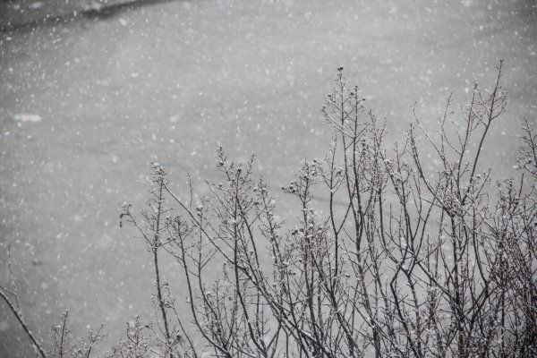 Явления природы снегопад