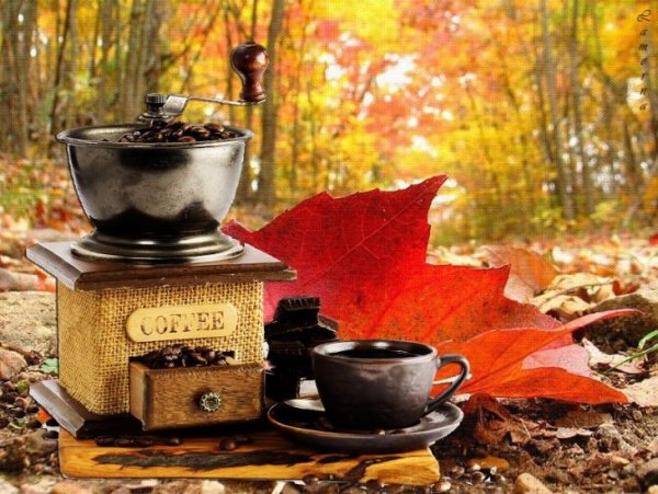 Кофе в осеннем саду