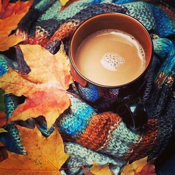 Осень кофе