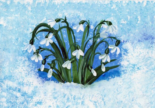 12 Месяцев подснежники