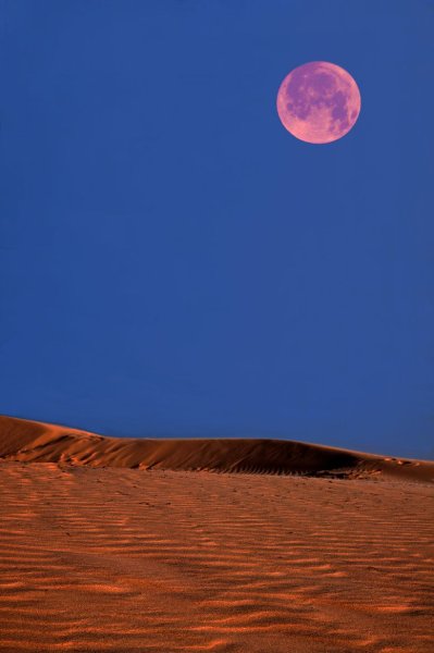 Луна над пустыней