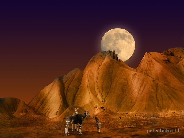 Луна в пустыне