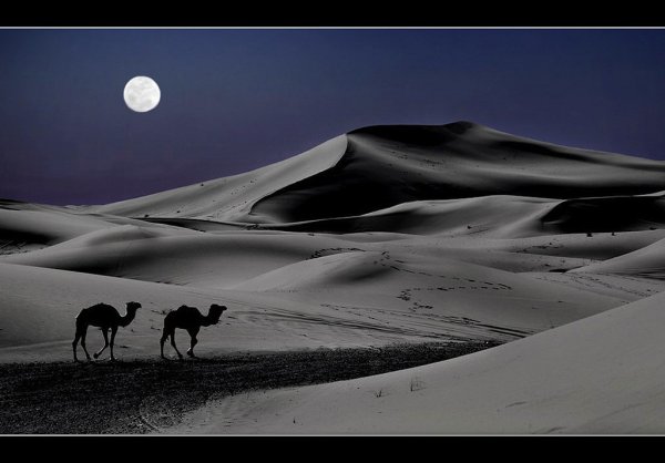 Луна над пустыней