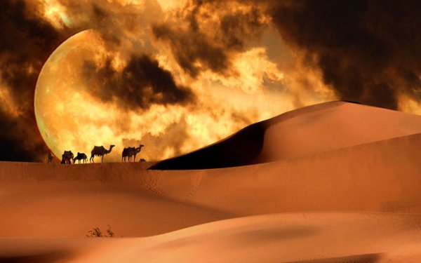Пустыня ночь Луна