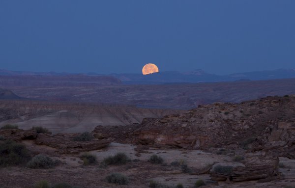 Ночь Аризона Пустошь