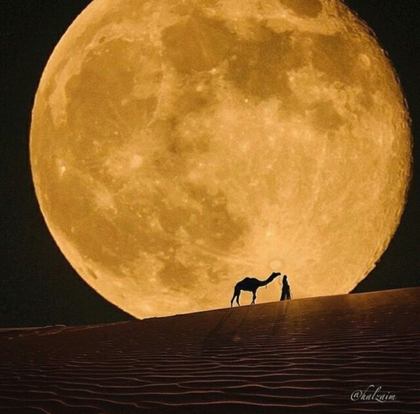 Луна в пустыне