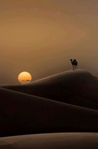 Пустыня вечером